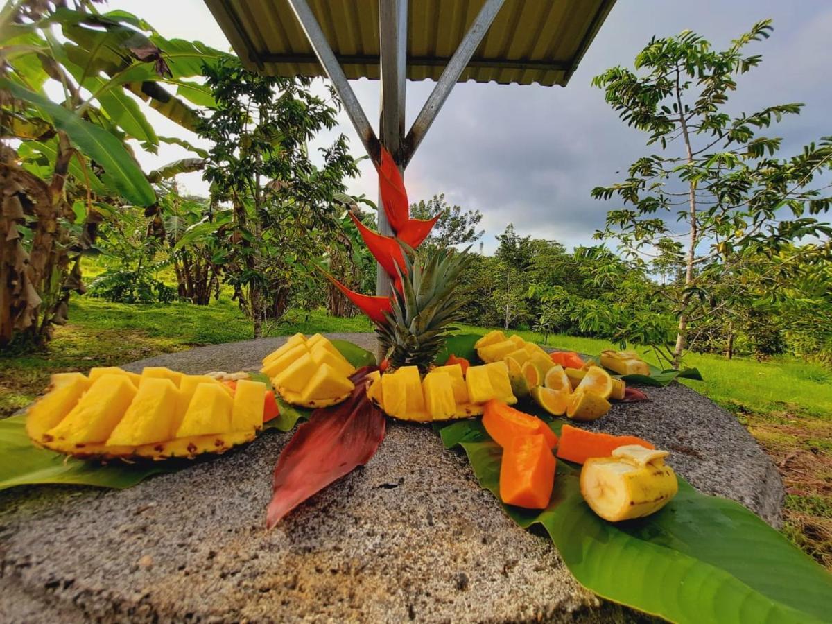 Cabanas Montanas Del Tenorio Rio Celeste Exterior foto